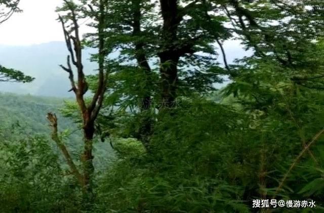 快乐游乐园女孩