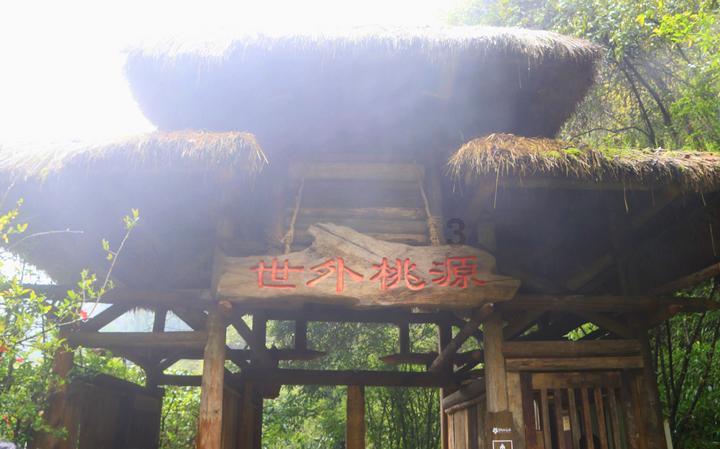 悲伤兔大冒险