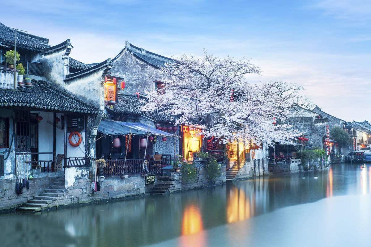 感动！全红婵哥哥动态，80爷爷头发乌黑精神抖擞，镜头前表白妻子